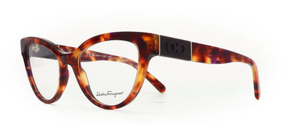 Image of Salvatore Ferragamo Eyewear Frames