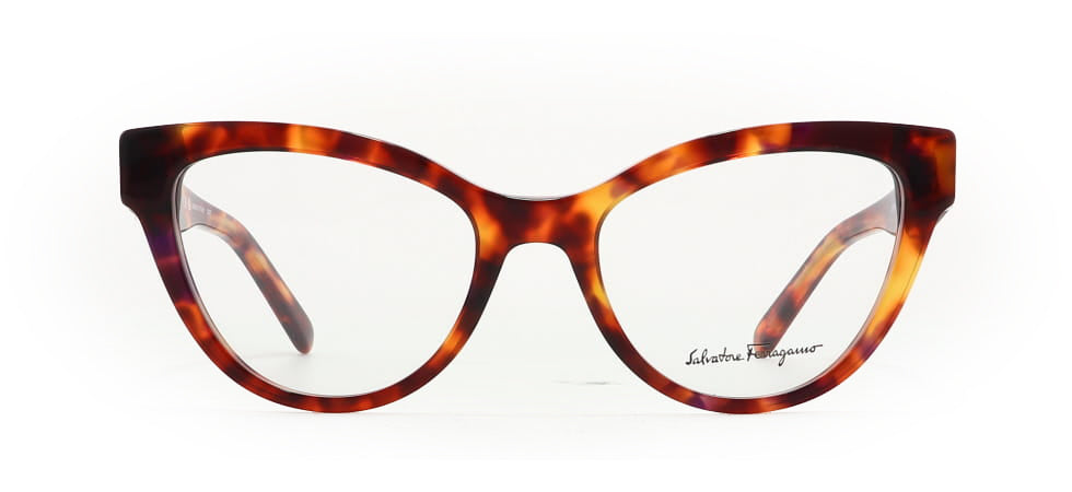 Image of Salvatore Ferragamo Eyewear Frames