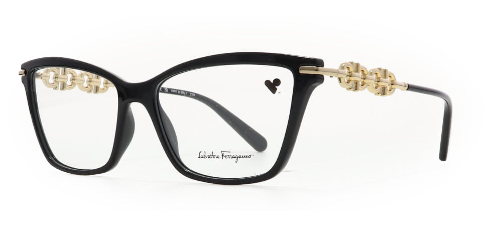 Image of Salvatore Ferragamo Eyewear Frames