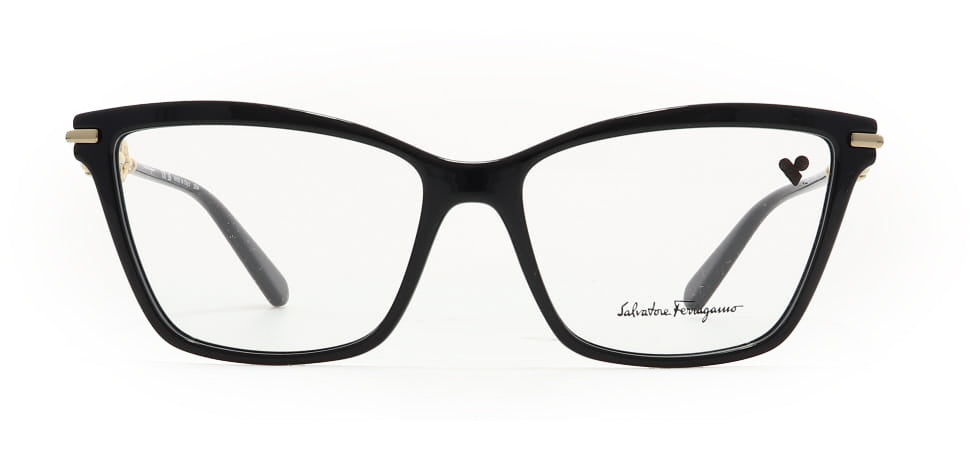 Image of Salvatore Ferragamo Eyewear Frames