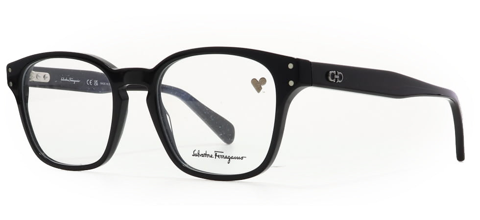 Image of Salvatore Ferragamo Eyewear Frames