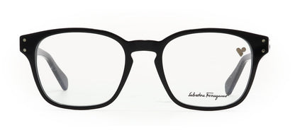 Image of Salvatore Ferragamo Eyewear Frames