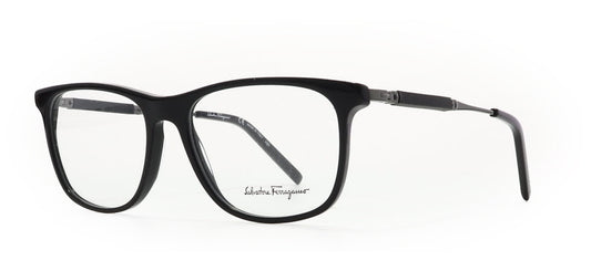 Image of Salvatore Ferragamo Eyewear Frames