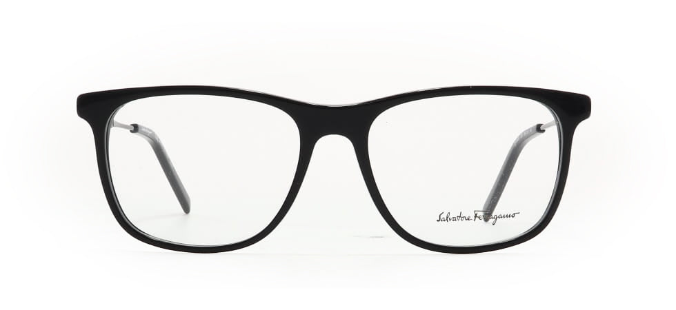 Image of Salvatore Ferragamo Eyewear Frames