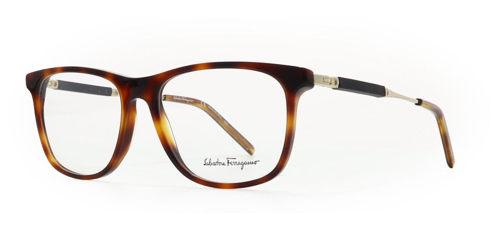 Image of Salvatore Ferragamo Eyewear Frames