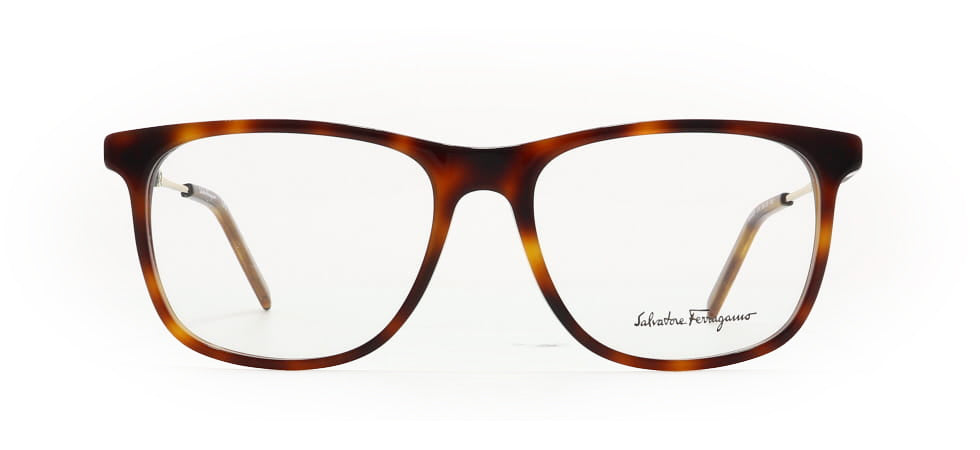 Image of Salvatore Ferragamo Eyewear Frames