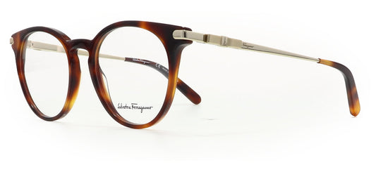 Image of Salvatore Ferragamo Eyewear Frames