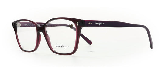 Image of Salvatore Ferragamo Eyewear Frames