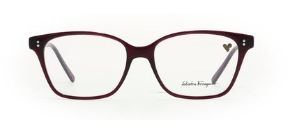 Image of Salvatore Ferragamo Eyewear Frames