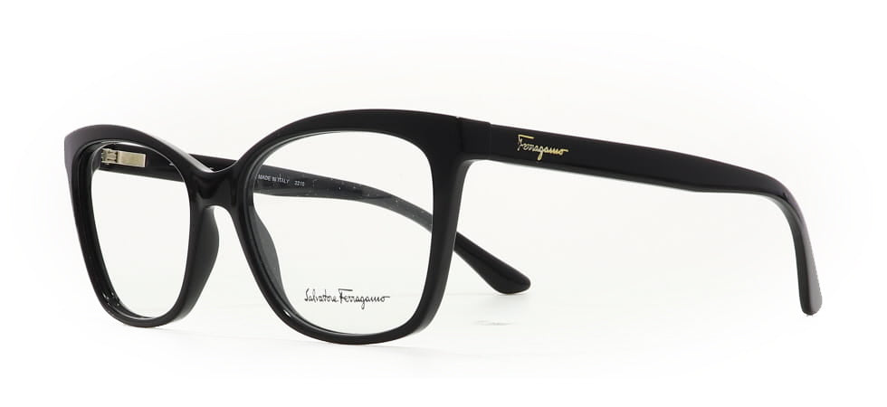 Image of Salvatore Ferragamo Eyewear Frames
