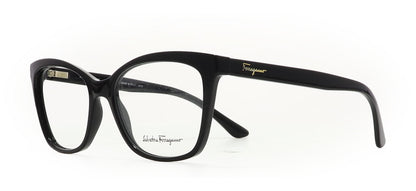 Image of Salvatore Ferragamo Eyewear Frames