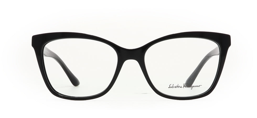 Image of Salvatore Ferragamo Eyewear Frames