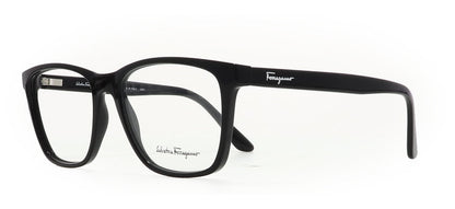 Image of Salvatore Ferragamo Eyewear Frames