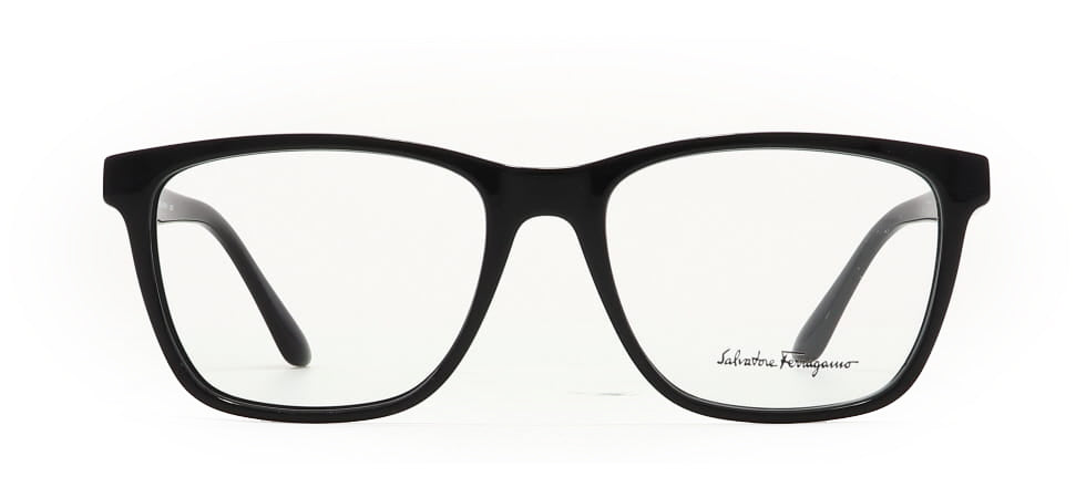 Image of Salvatore Ferragamo Eyewear Frames