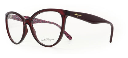 Image of Salvatore Ferragamo Eyewear Frames
