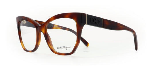 Image of Salvatore Ferragamo Eyewear Frames