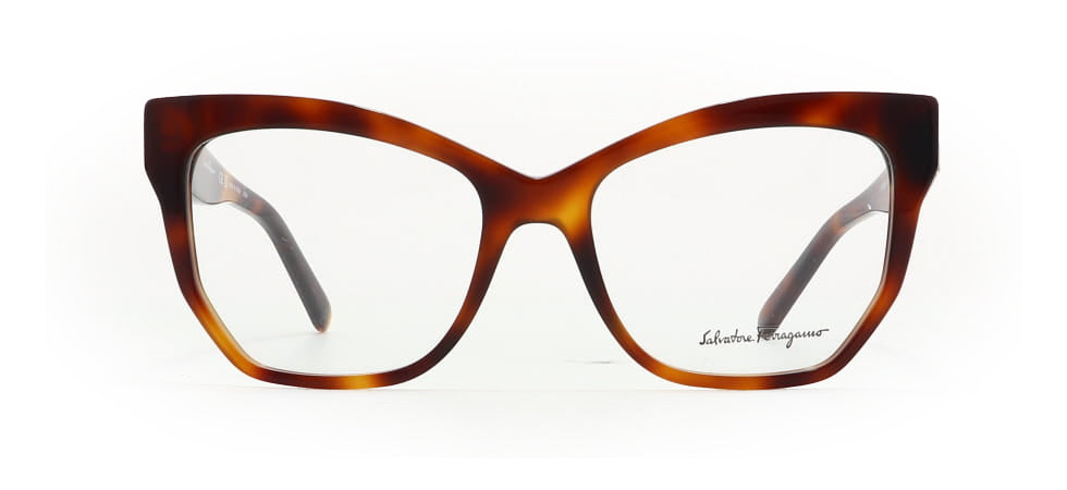 Image of Salvatore Ferragamo Eyewear Frames