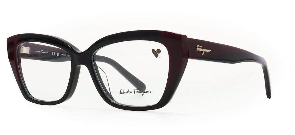 Image of Salvatore Ferragamo Eyewear Frames