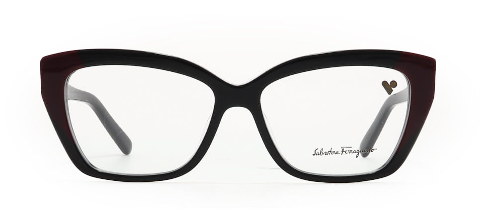 Image of Salvatore Ferragamo Eyewear Frames