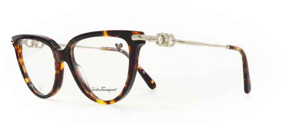 Image of Salvatore Ferragamo Eyewear Frames