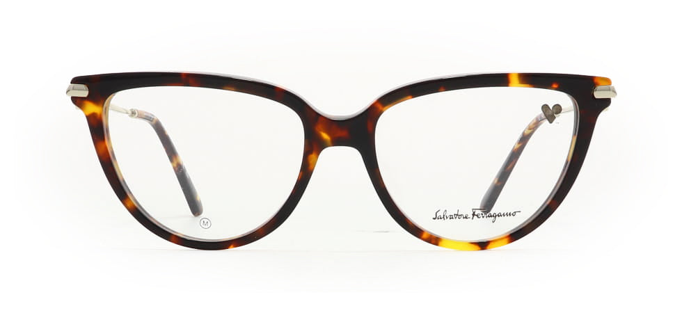 Image of Salvatore Ferragamo Eyewear Frames