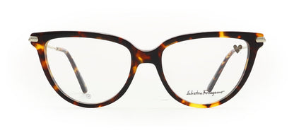 Image of Salvatore Ferragamo Eyewear Frames