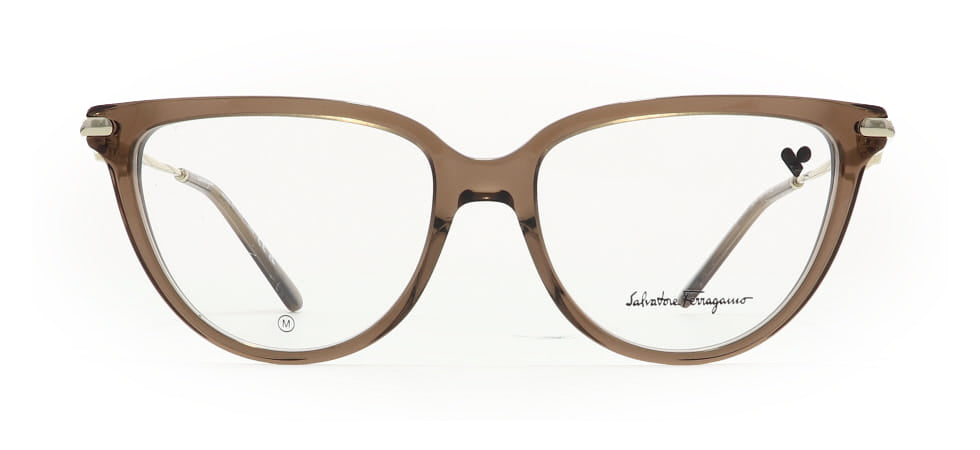 Image of Salvatore Ferragamo Eyewear Frames