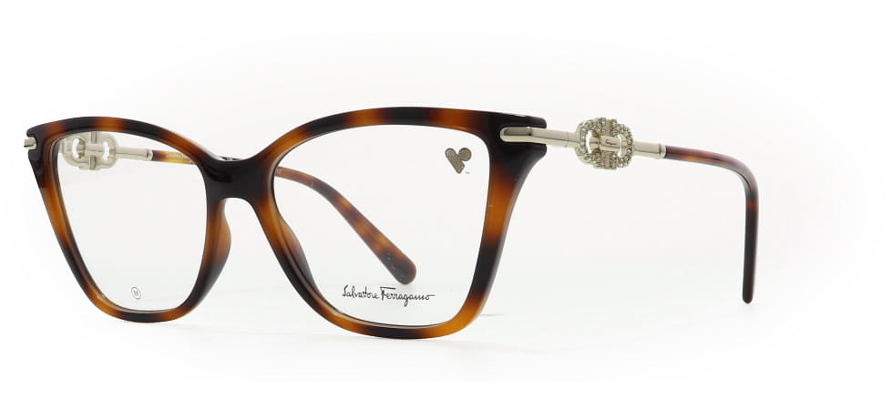 Image of Salvatore Ferragamo Eyewear Frames