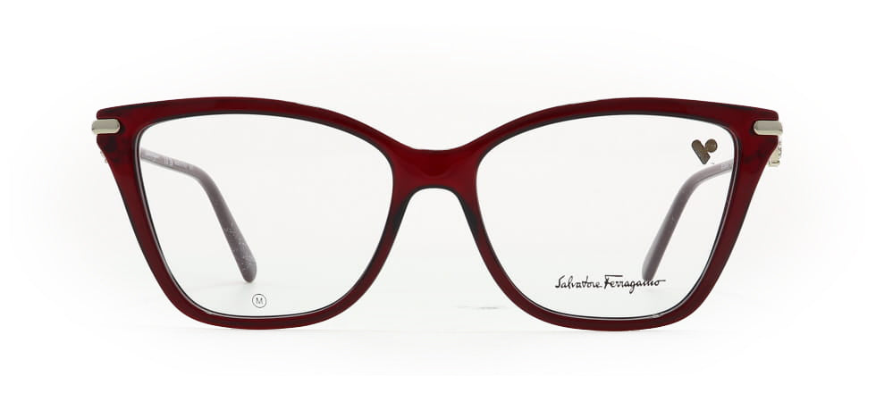 Image of Salvatore Ferragamo Eyewear Frames