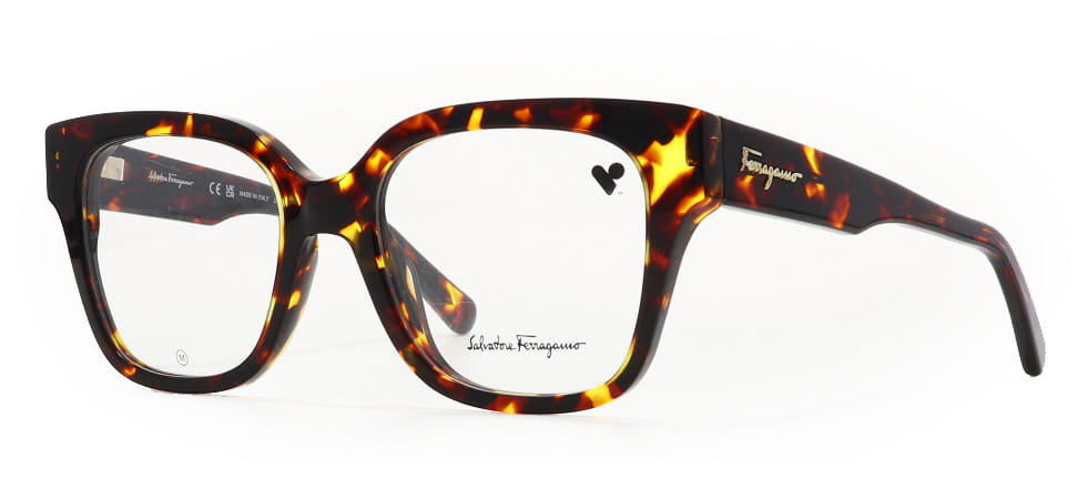 Image of Salvatore Ferragamo Eyewear Frames