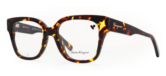 Image of Salvatore Ferragamo Eyewear Frames