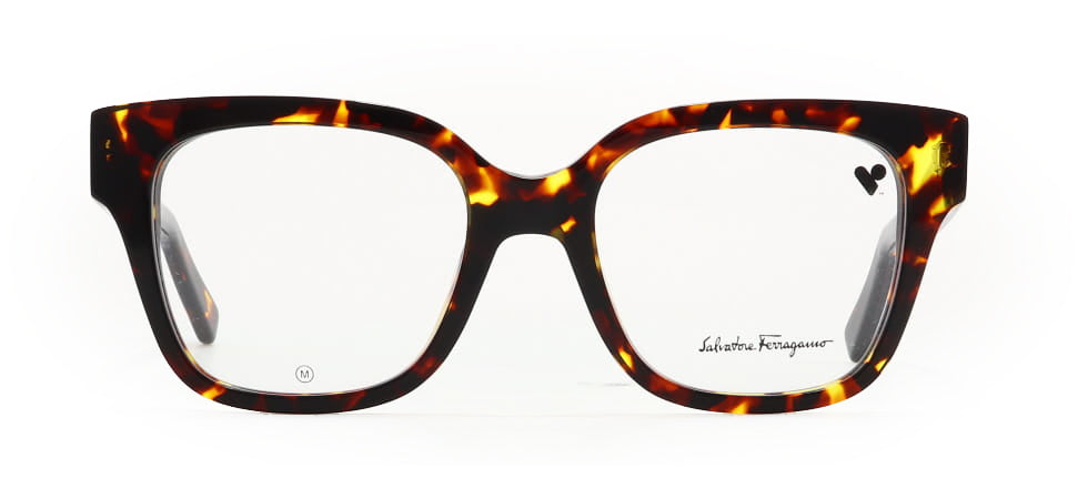 Image of Salvatore Ferragamo Eyewear Frames