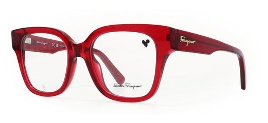 Image of Salvatore Ferragamo Eyewear Frames