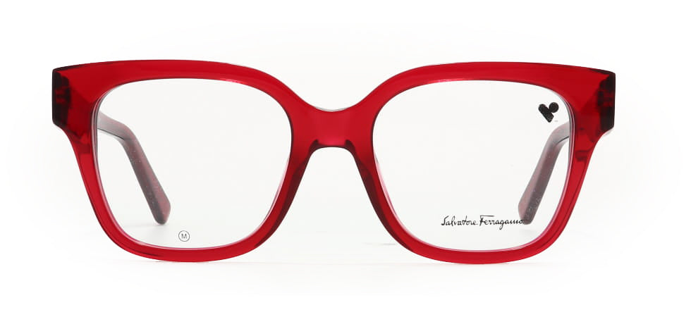 Image of Salvatore Ferragamo Eyewear Frames