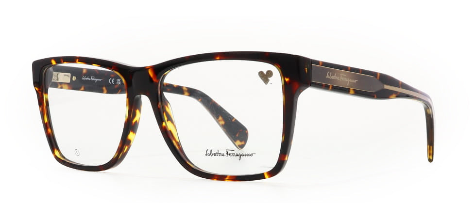 Image of Salvatore Ferragamo Eyewear Frames