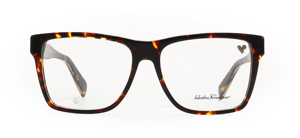 Image of Salvatore Ferragamo Eyewear Frames