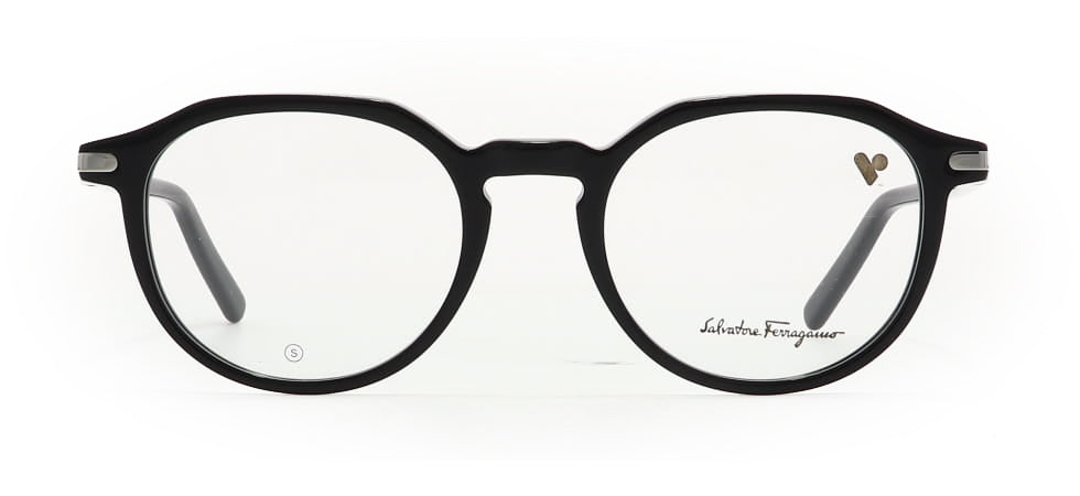Image of Salvatore Ferragamo Eyewear Frames