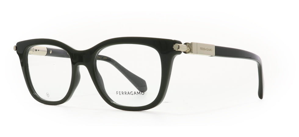 Image of Salvatore Ferragamo Eyewear Frames