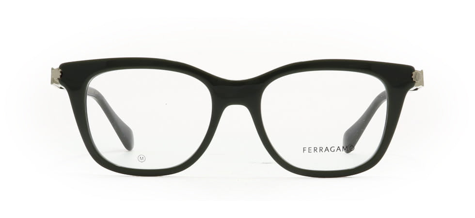 Image of Salvatore Ferragamo Eyewear Frames