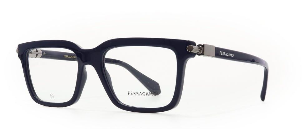 Image of Salvatore Ferragamo Eyewear Frames