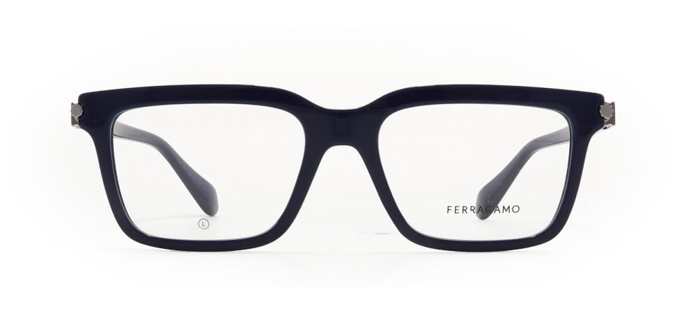 Image of Salvatore Ferragamo Eyewear Frames