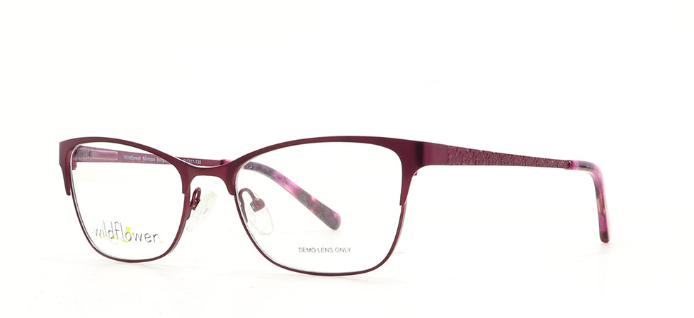 Image of Wildflower Eyewear Frames