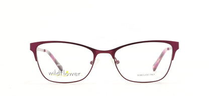 Image of Wildflower Eyewear Frames