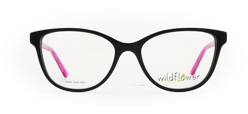 Image of Wildflower Eyewear Frames