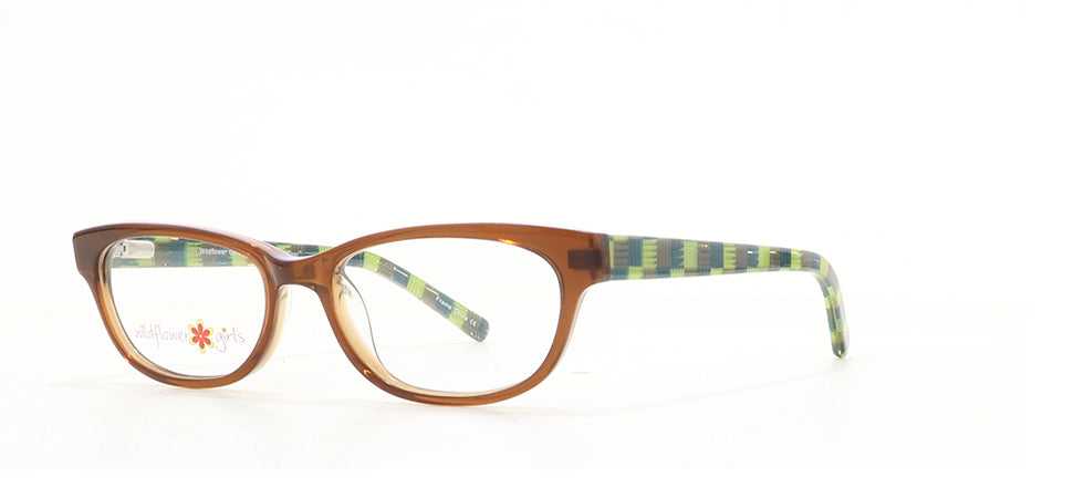 Image of Wildflower Eyewear Frames