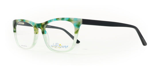 Image of Wildflower Eyewear Frames