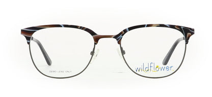 Image of Wildflower Eyewear Frames