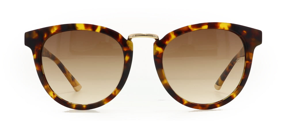 Image of Ana Hickmann Eyewear Frames