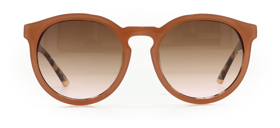 Image of Ana Hickmann Eyewear Frames