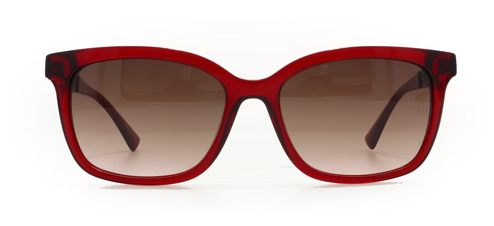 Image of Ana Hickmann Eyewear Frames